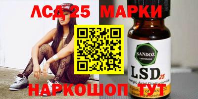 шишки Ставрополь
