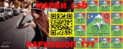 шишки Ставрополь
