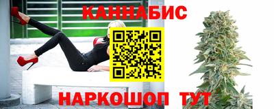 шишки Ставрополь