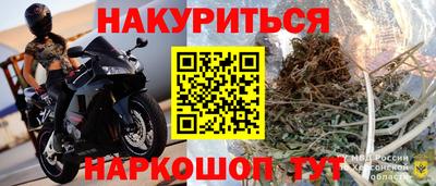 шишки Ставрополь