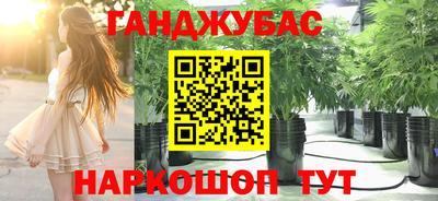 шишки Ставрополь