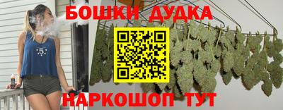 шишки Ставрополь