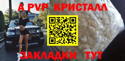 шишки Ставрополь